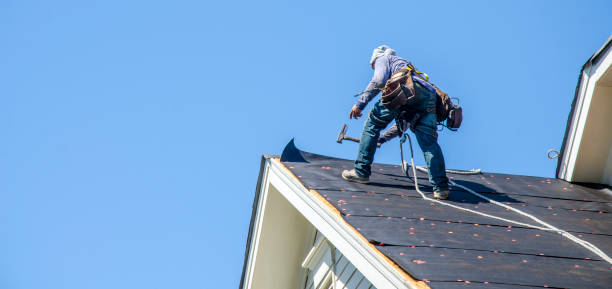 Roof Gutter Cleaning in Funny River, AK